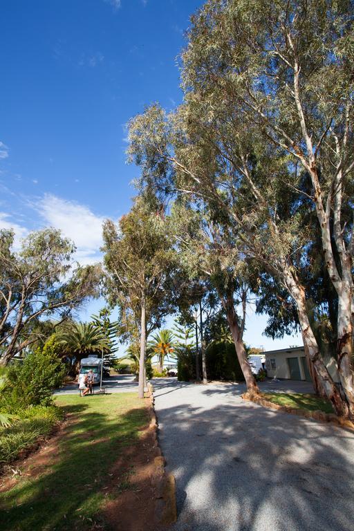 Modra'S Apartments Tumby Bay Eksteriør bilde